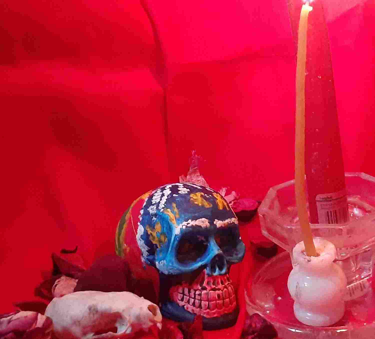 Магические предметы- череп ритуальный для магических обрядов